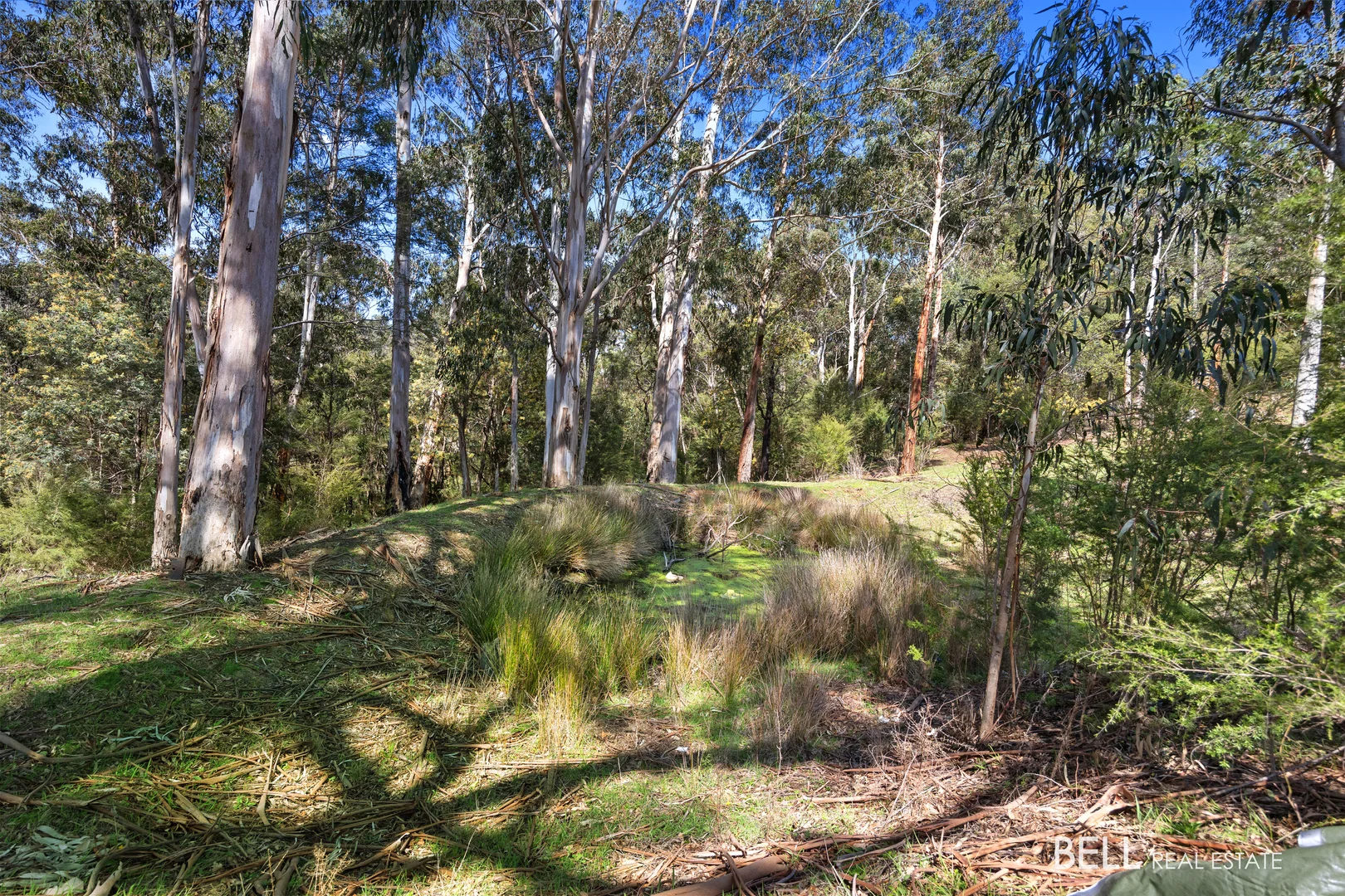 Additional image 36 of 95 Yellowgum Road, Hoddles Creek VIC 3139