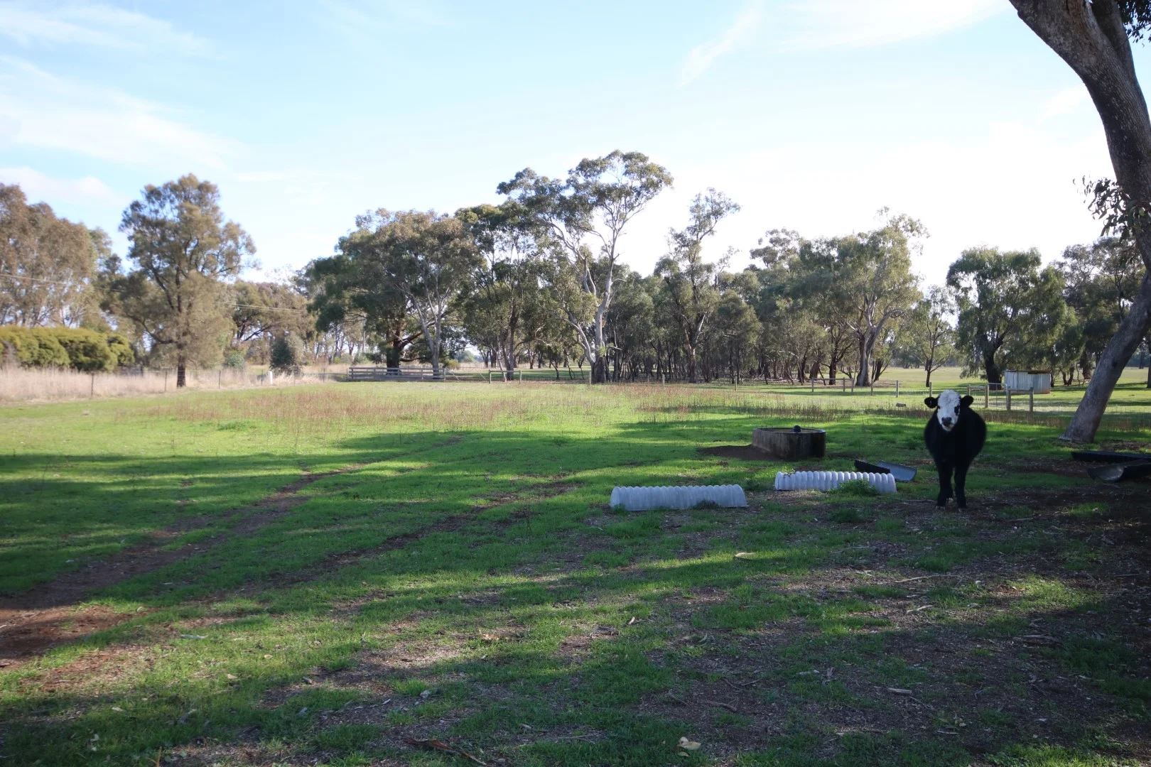 Additional image 12 of 516 O'Donnell Road, Rochester VIC 3561