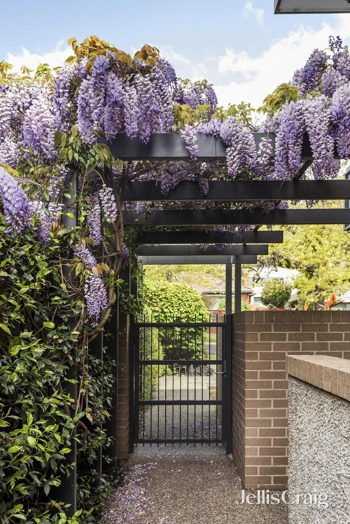 Additional image 22 of 6/146 Thames Street, Box Hill North VIC 3129