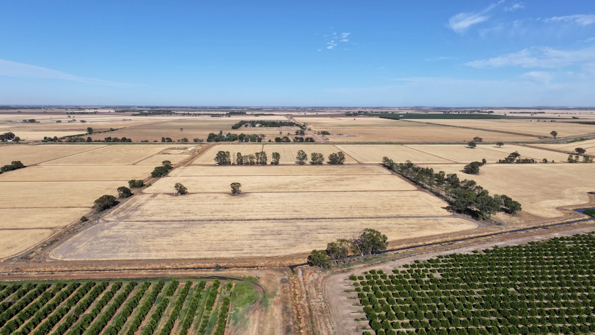 Additional image 6 of Farm 65 Stoney Point Road, Leeton NSW 2705