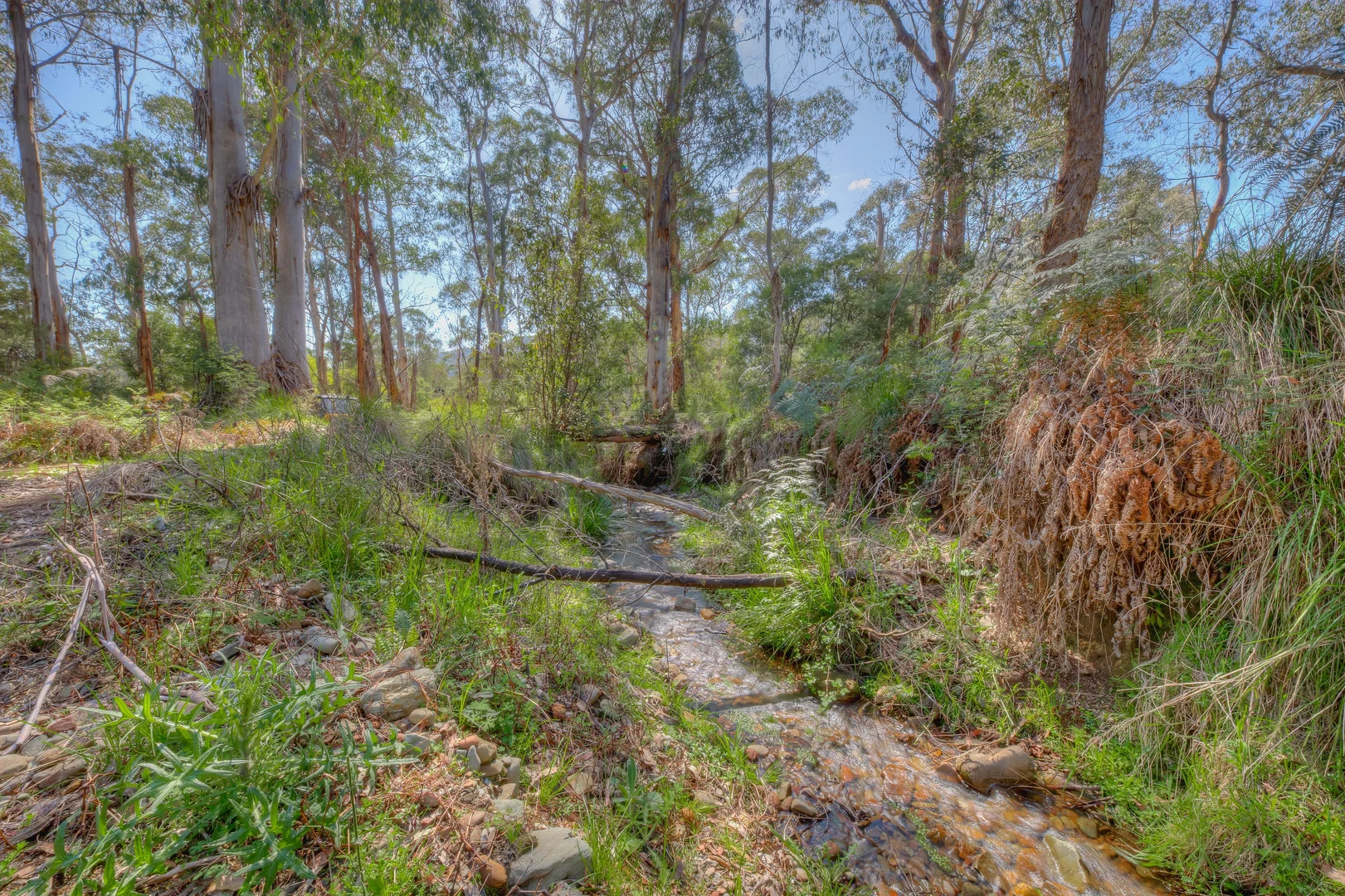 Additional image 25 of 19 Goldie Spur Track, Buckland VIC 3740