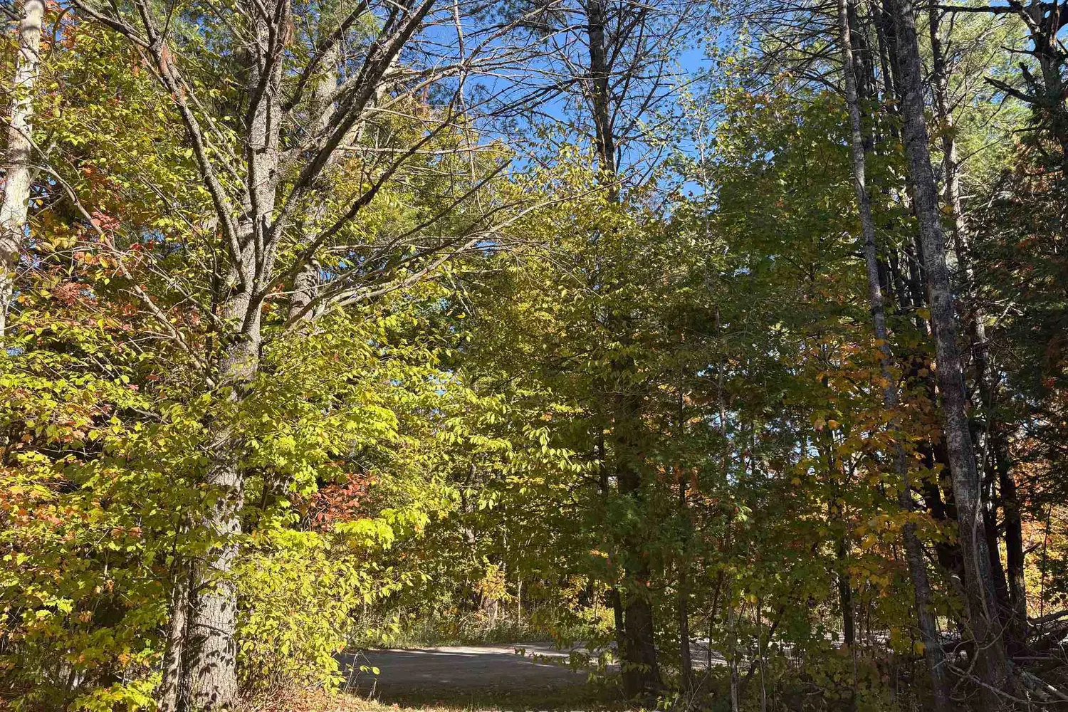 Additional image 16 of N/A Twin Sister Lakes Road