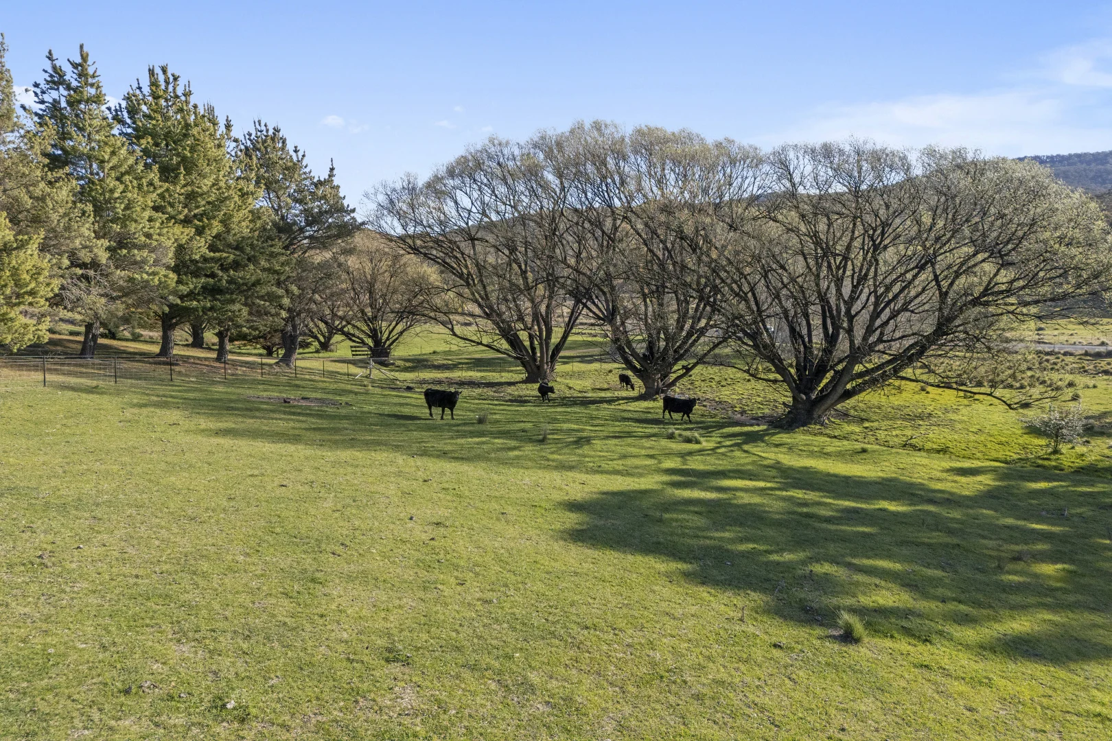 Additional image 33 of 3465 Captains Flat Road, Captains Flat NSW 2623