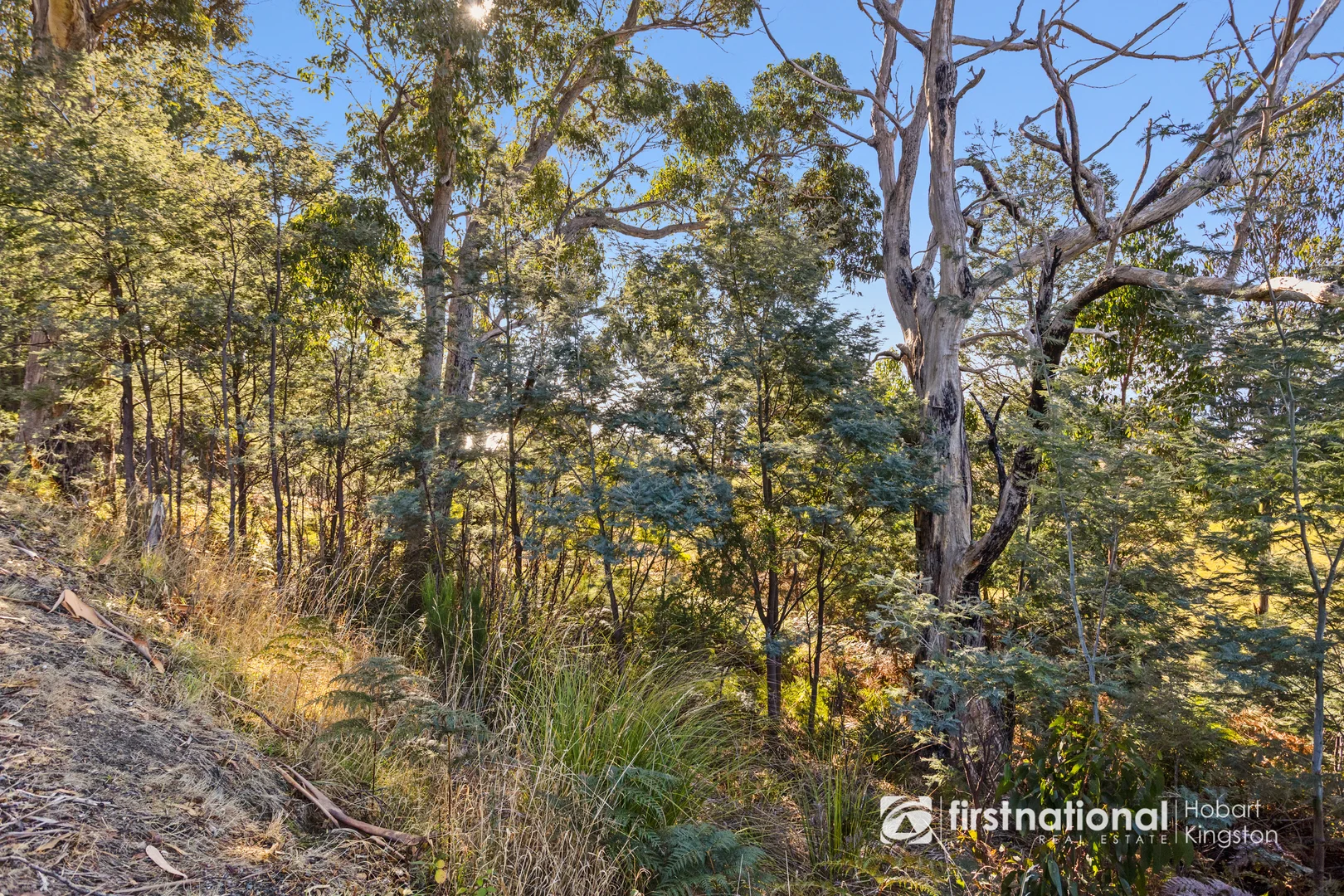 Additional image 19 of 4783 Channel Highway, Gordon TAS 7150