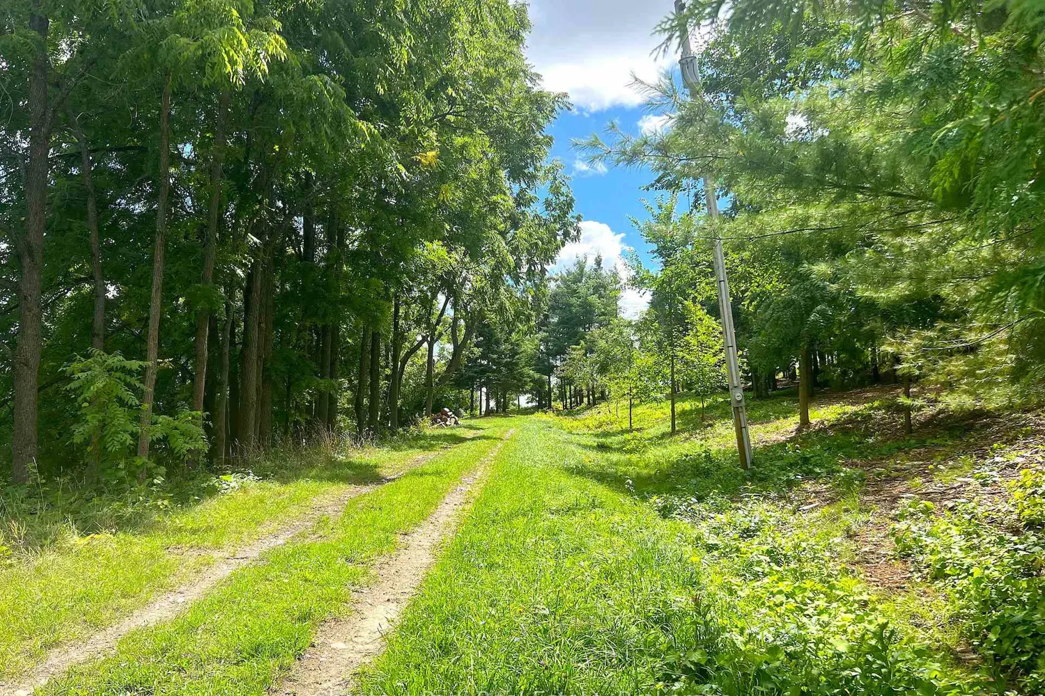 Additional image 12 of 628190 15Th Side Road