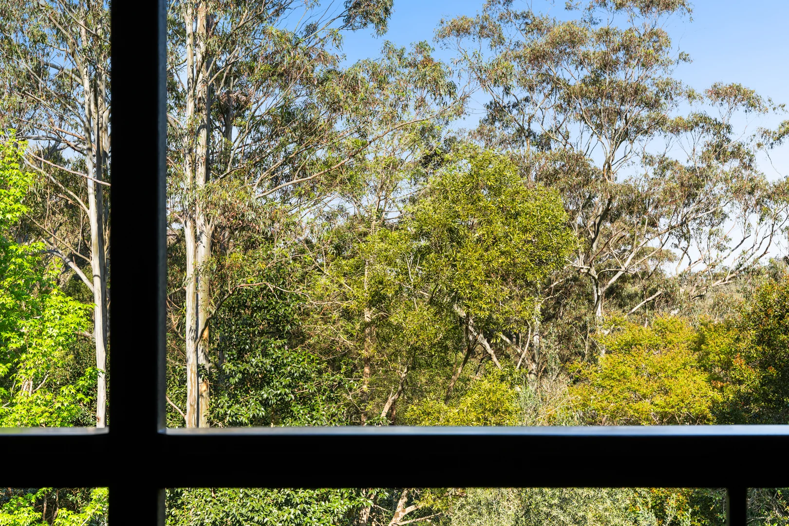 Additional image 14 of 108/3143 Esk Hampton Road, Ravensbourne QLD 4352