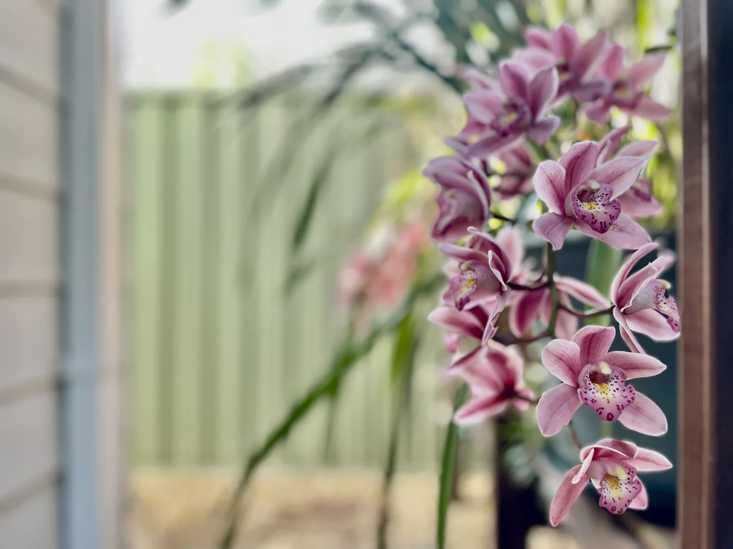 Additional image 21 of Umina Beach NSW 2257