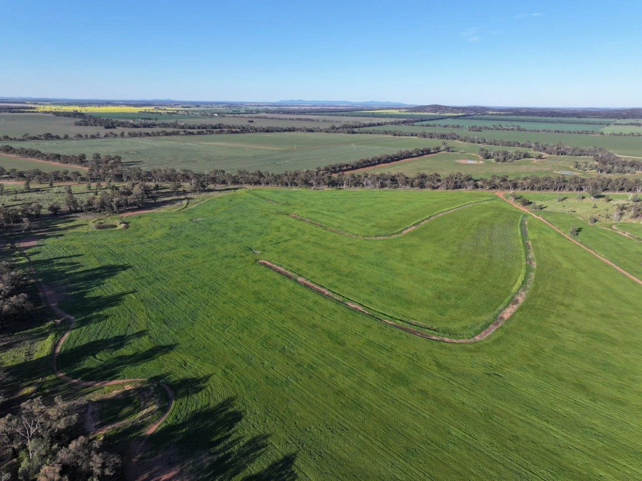 Additional image 15 of Part Westbury Goldfields Way, Barmedman NSW 2668