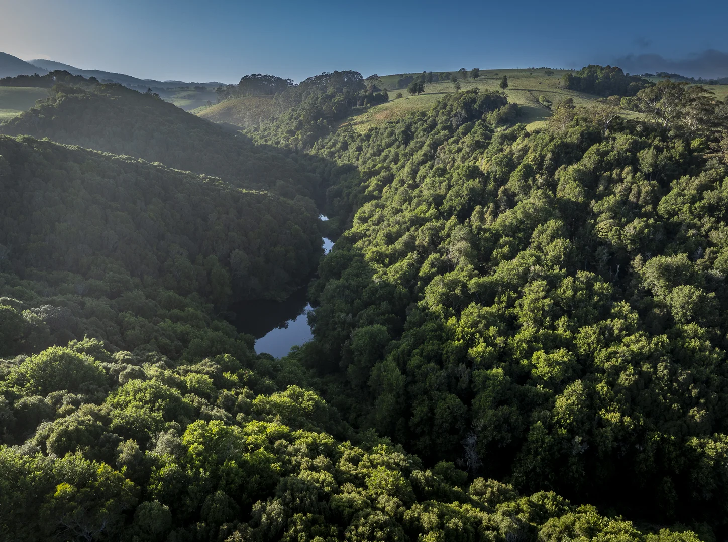 Additional image 17 of 294 Coramba Road, Dorrigo NSW 2453