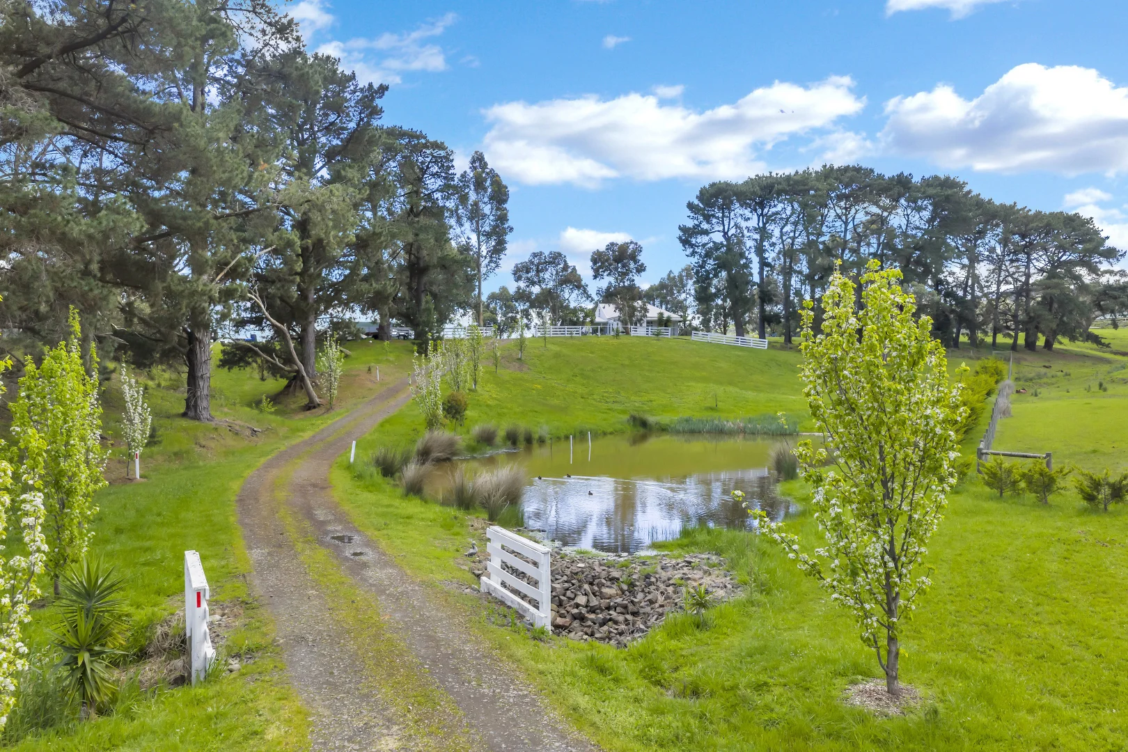 Additional image 24 of 125 Trew Road, Woolamai VIC 3995