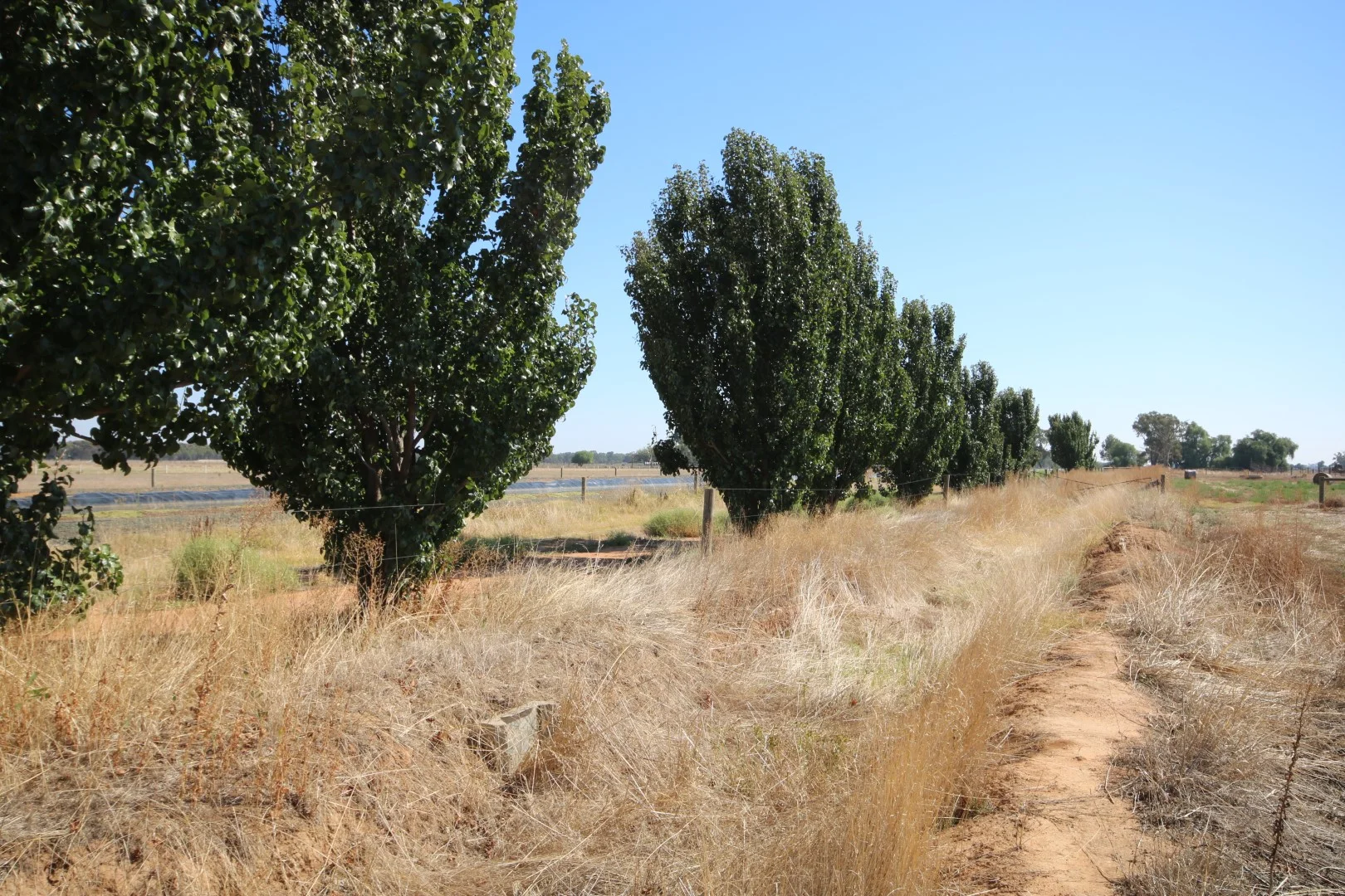 Additional image 5 of 1670 Whinfield Road, Kotta VIC 3565