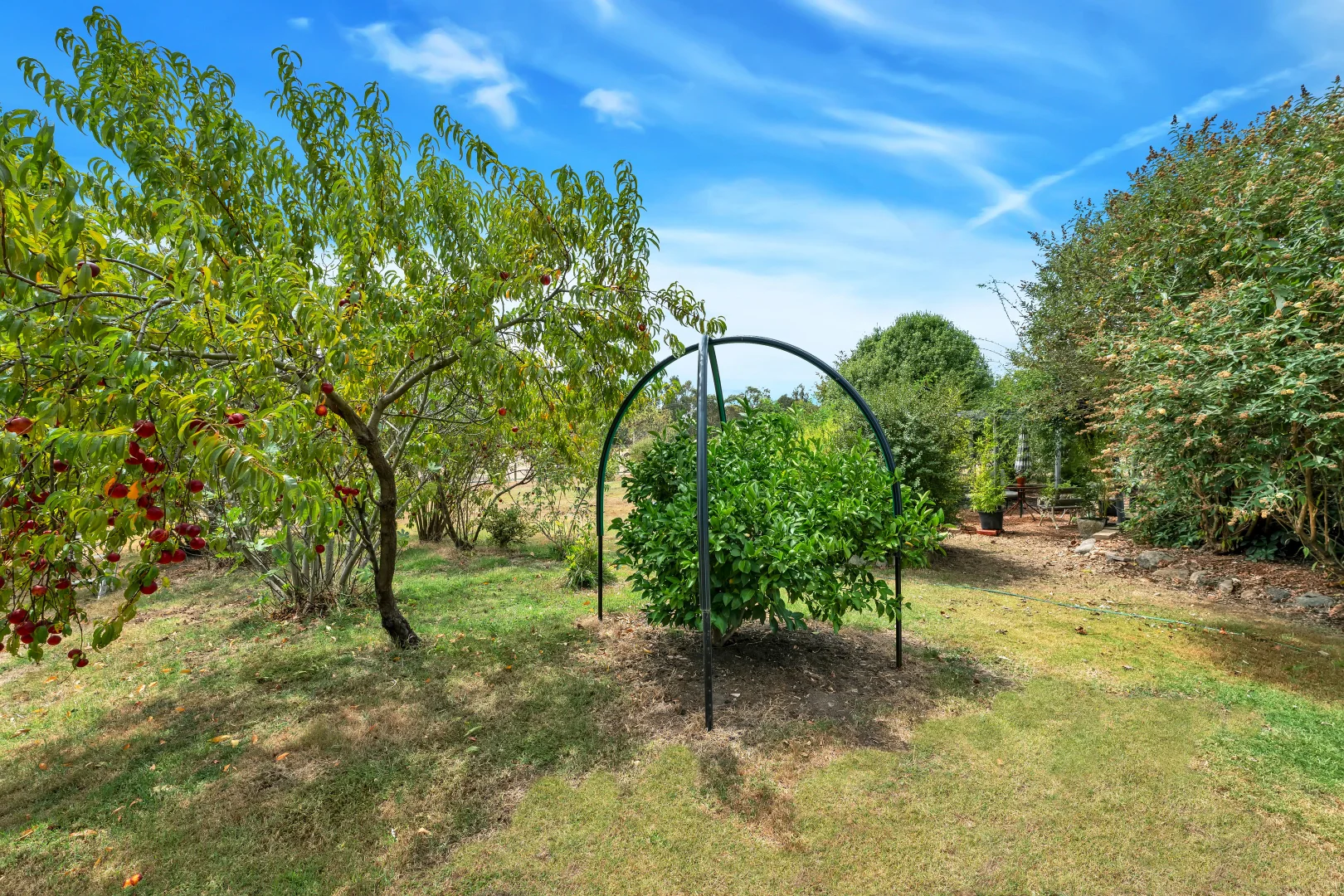 Additional image 23 of 3100 Maroondah Highway, Taggerty VIC 3714