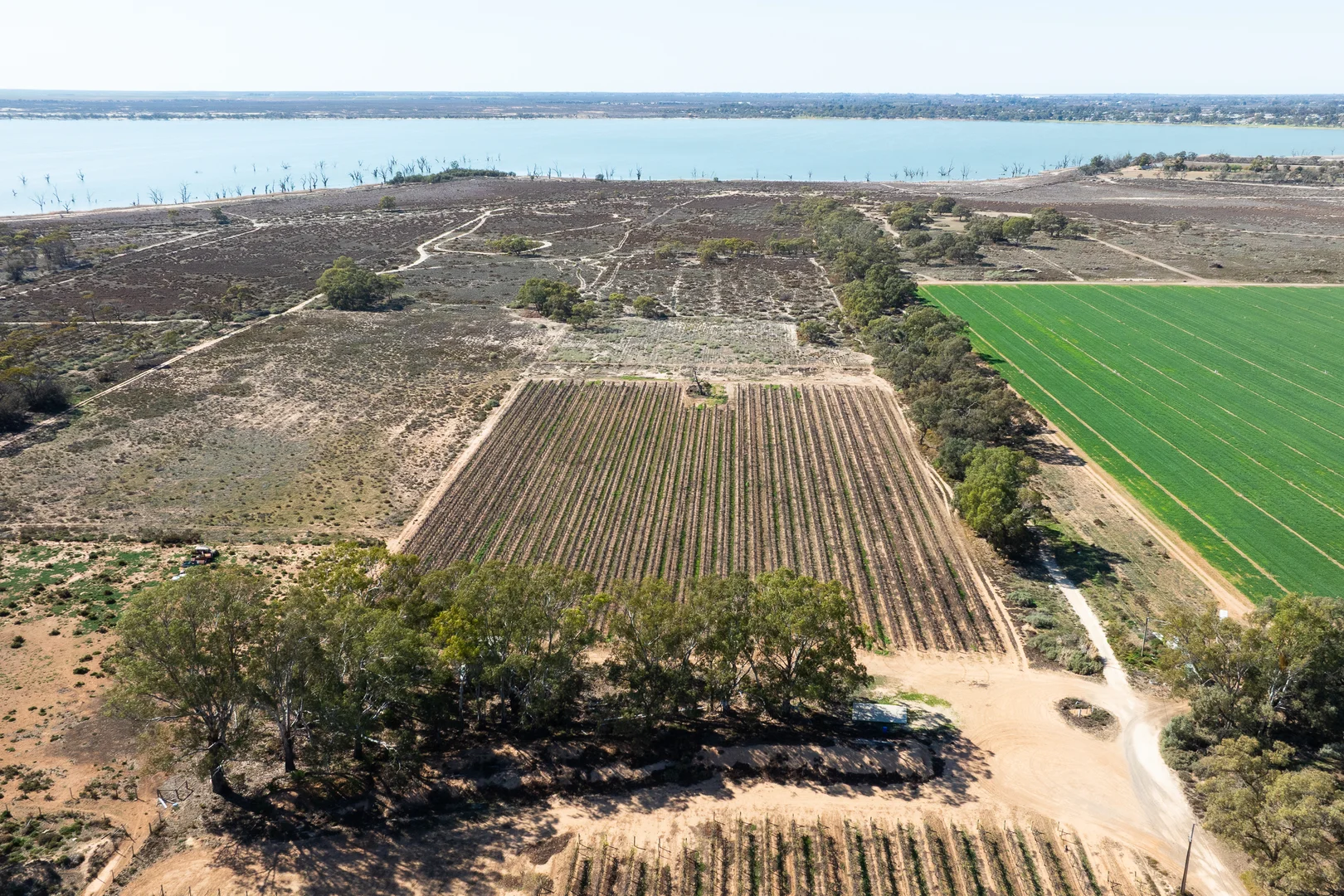 Additional image 4 of Lot 12 Dansie Road, Barmera SA 5345