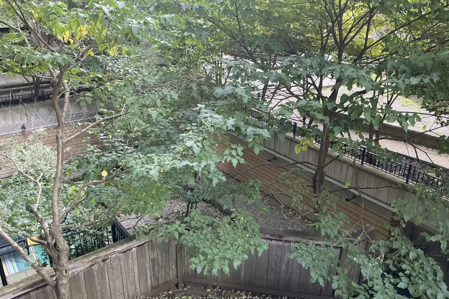 Additional image 9 of 375 Lisgar Street 304