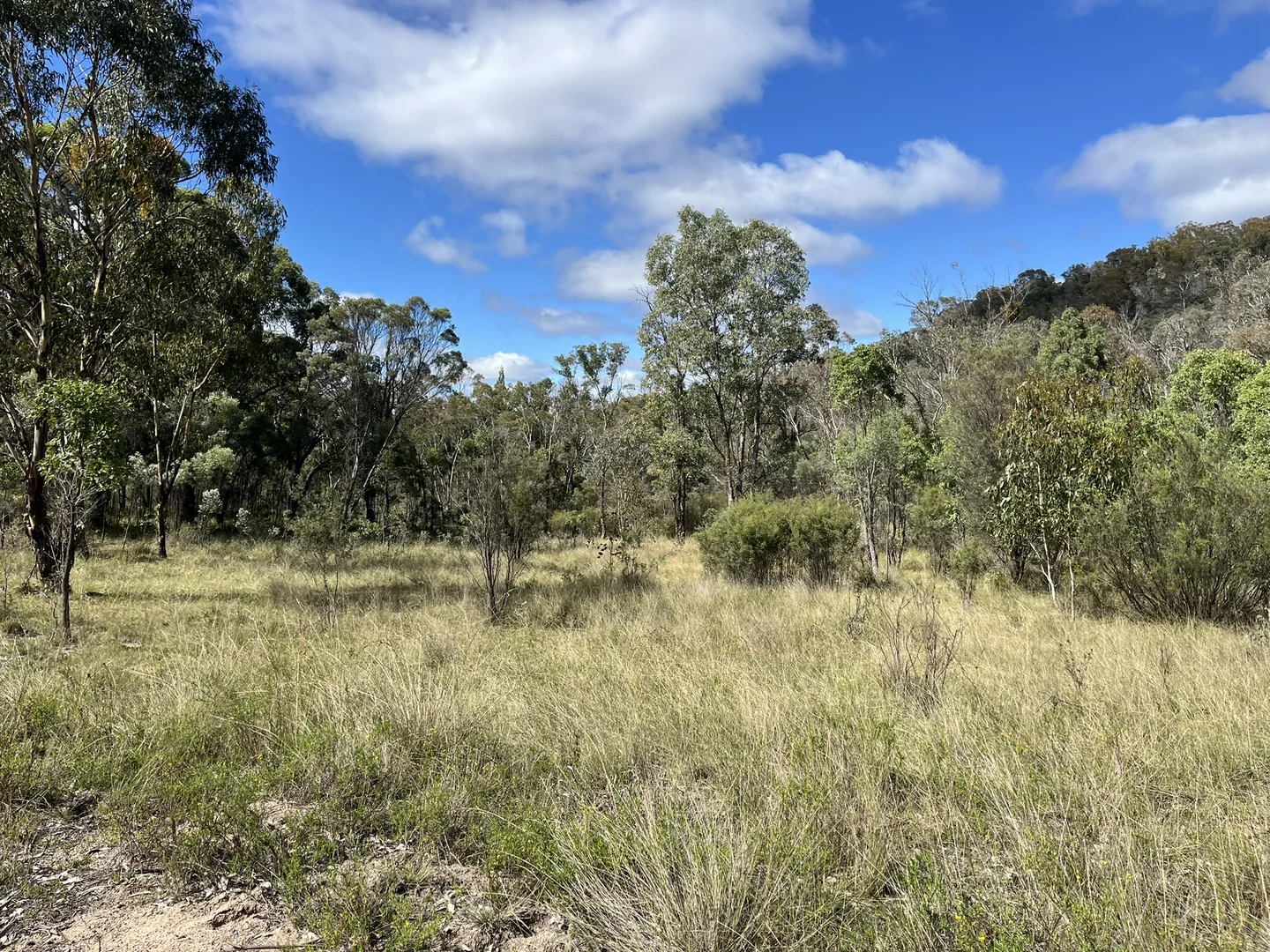 Additional image 18 of Pretty Gully Bendemeer Road, Kingstown NSW 2358