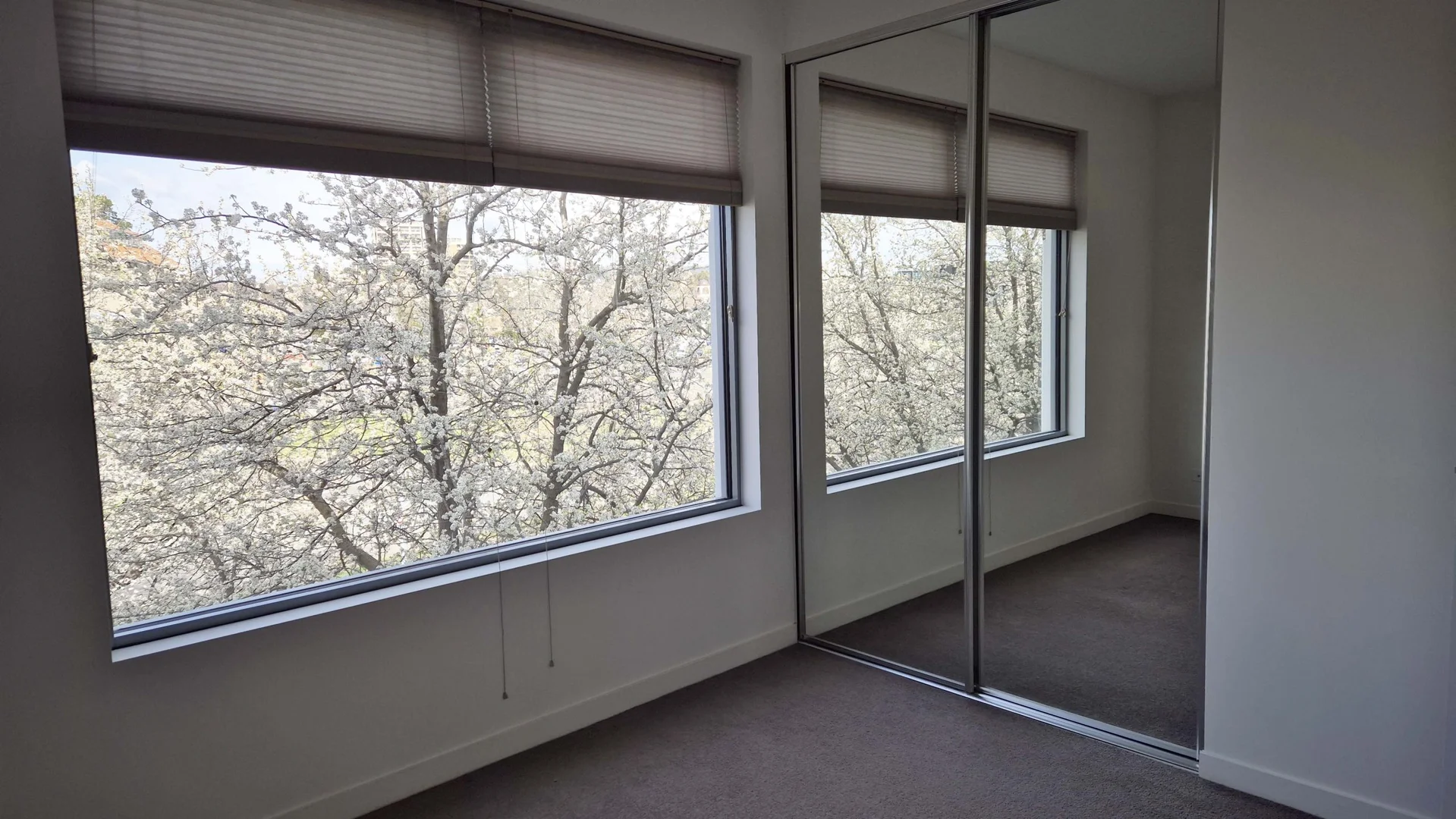 Additional image 19 of 70/11 Eastlake Parade, Kingston ACT 2604