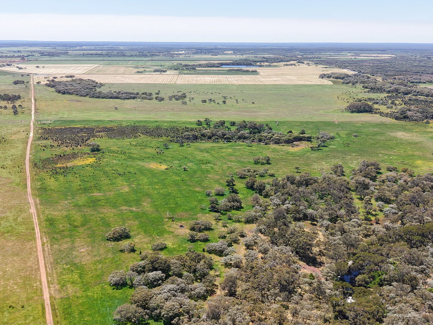 Additional image 4 of Lot 1 Coostien Road, Scott River WA 6288