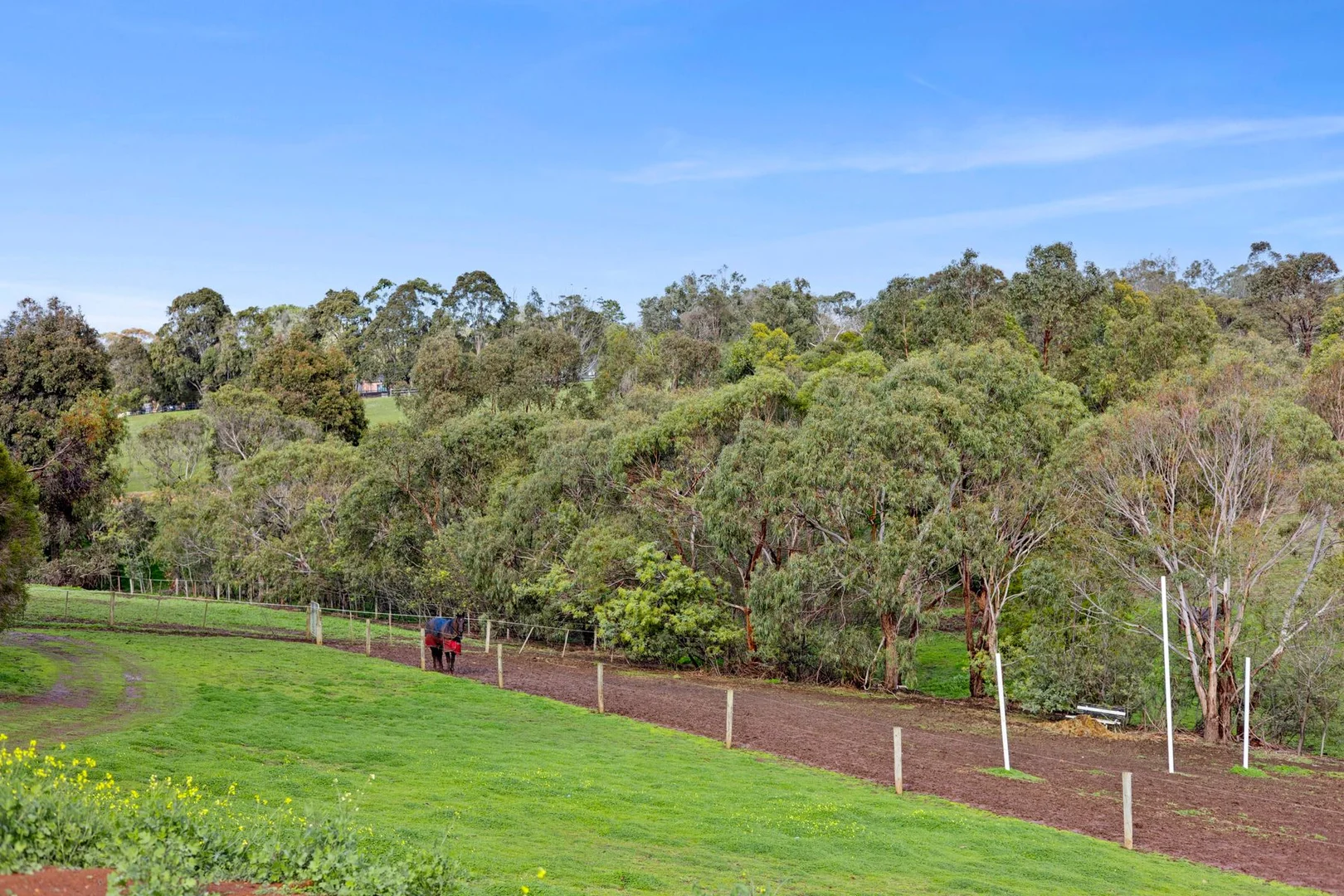 Additional image 24 of 40 Wood Road, Bellbrae VIC 3228