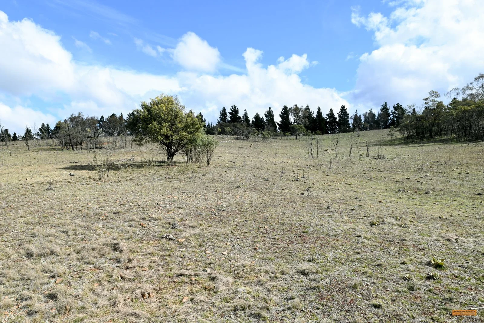 Additional image 41 of "Eagle Heights" 636 Caddigat Road, Dry Plain NSW 2630