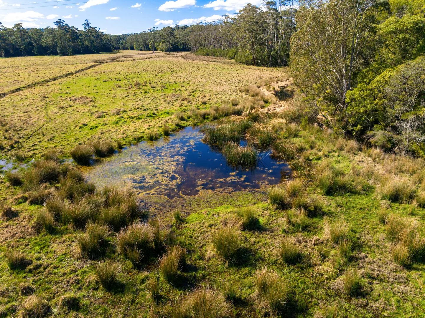 Additional image 43 of 218 Cabbage Tree - Conran Road, Cabbage Tree Creek VIC 3889