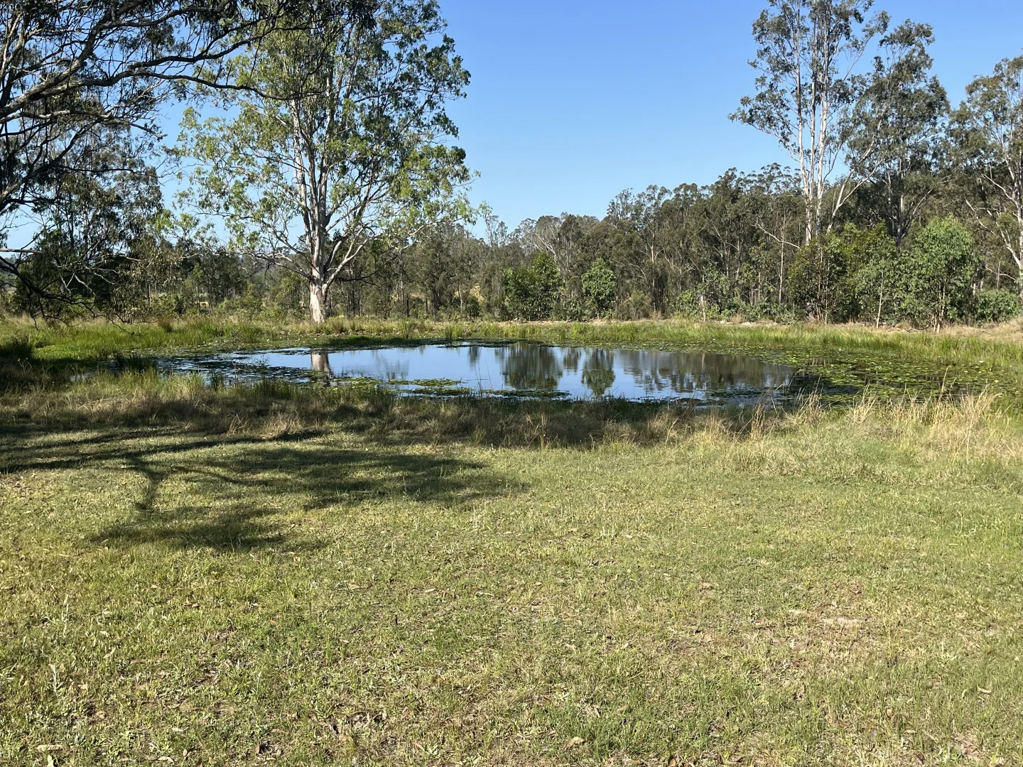 Additional image 5 of 2291 Willi Willi Rd, Moparrabah NSW 2440