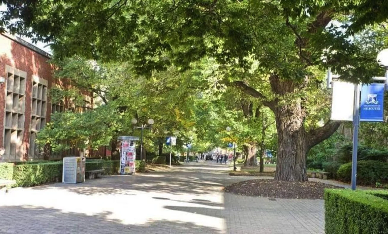 Additional image 16 of 633/800 Swanston Street, Carlton VIC 3053