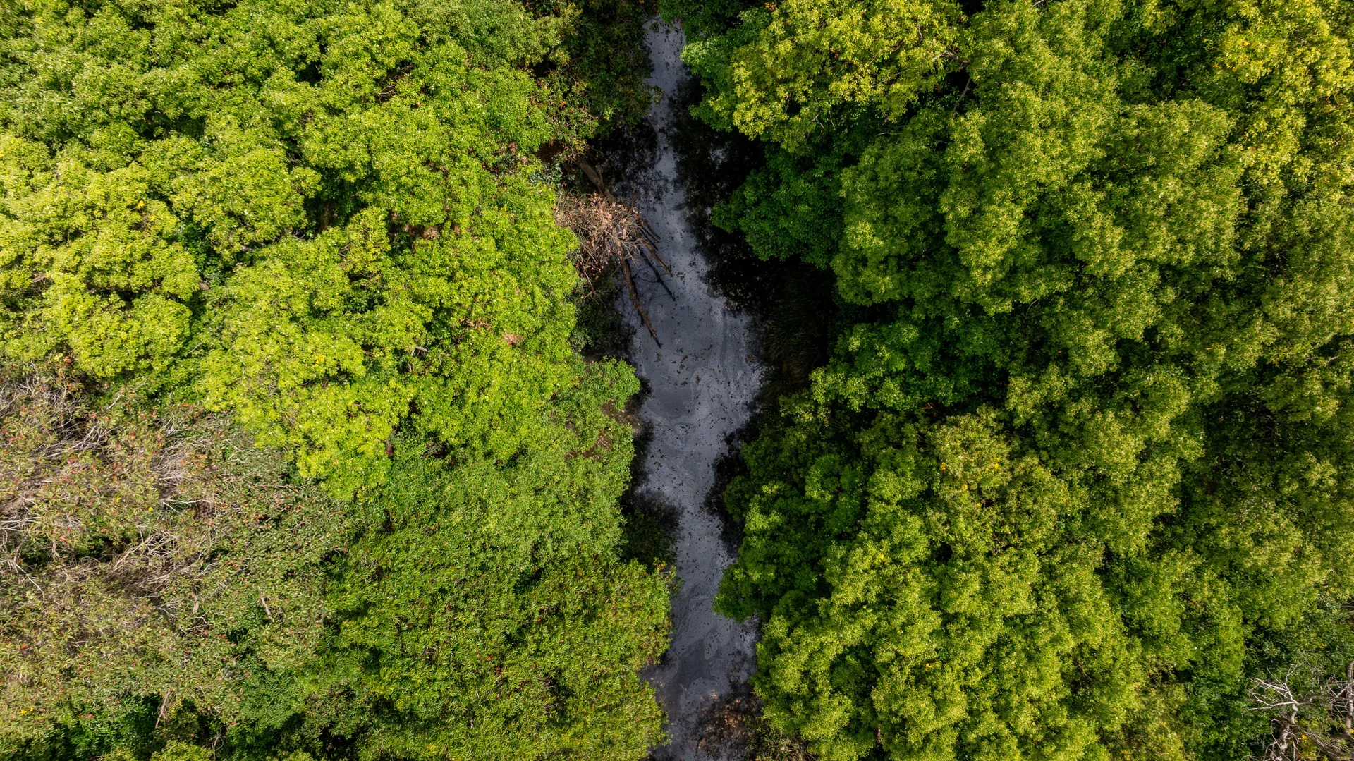 Additional image 4 of 698-699 Leeann Road, Monkland QLD 4570