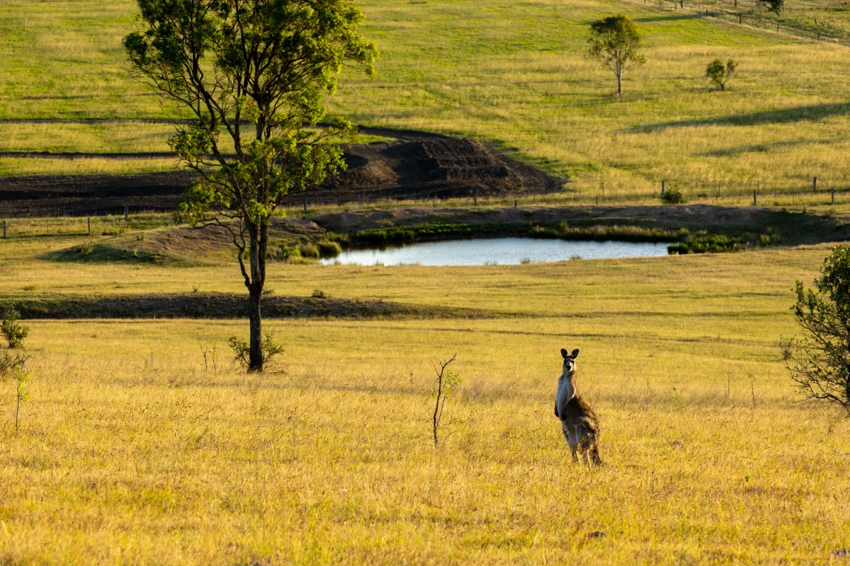 Additional image 25 of 880D Elderslie Road, Elderslie NSW 2335