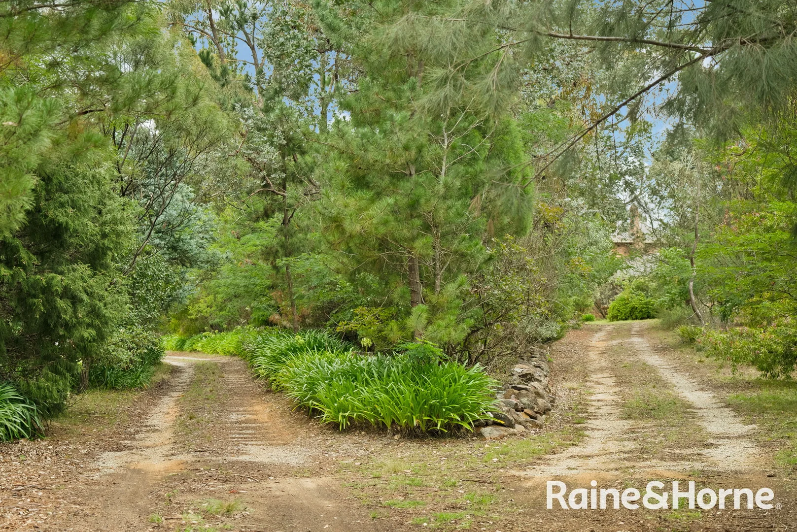 Additional image 47 of 5053 Castlereagh Highway Round Swamp Via, Capertee NSW 2846