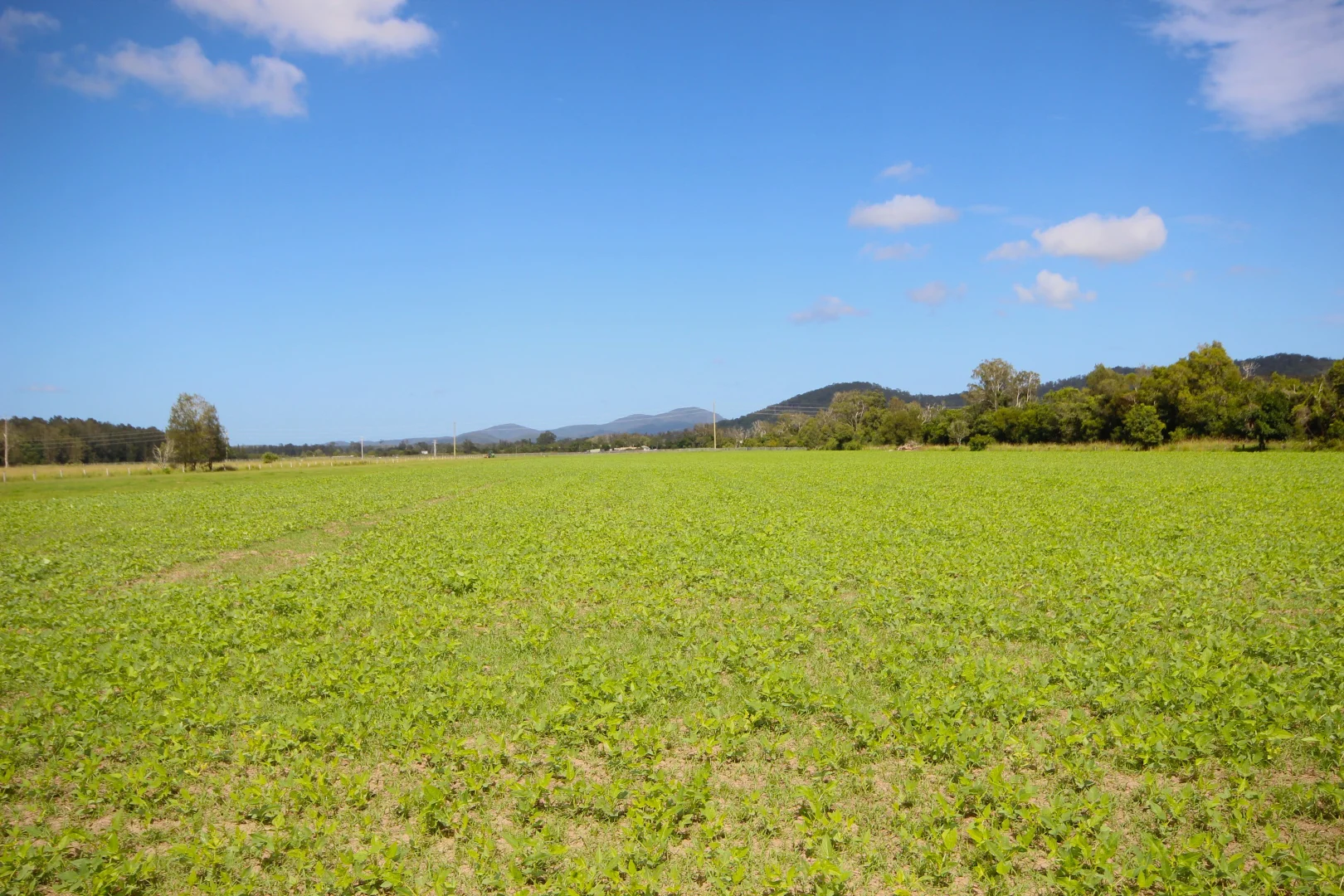 Additional image 21 of 256 Hacks Ferry Road, Hacks Ferry NSW 2441