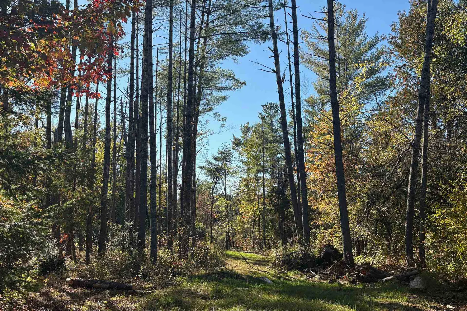 Additional image 7 of N/A Twin Sister Lakes Road