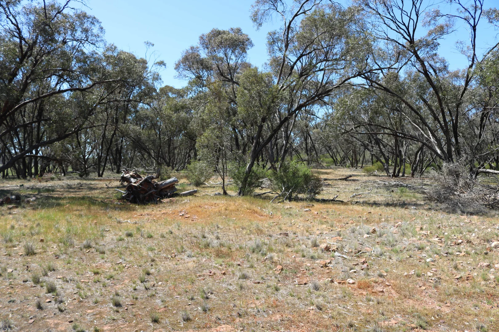 Additional image 11 of Maxwells Lane, Korong Vale VIC 3520
