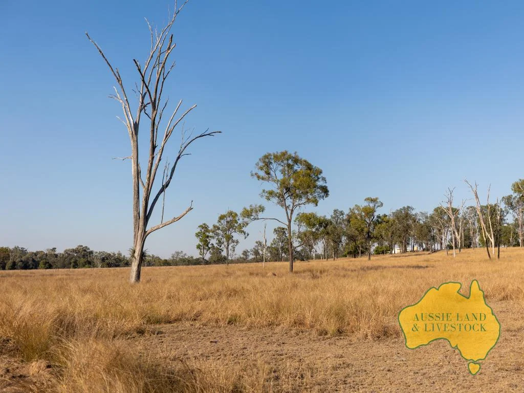 Additional image 20 of 110 BENHAMS ROAD, Mundubbera QLD 4626