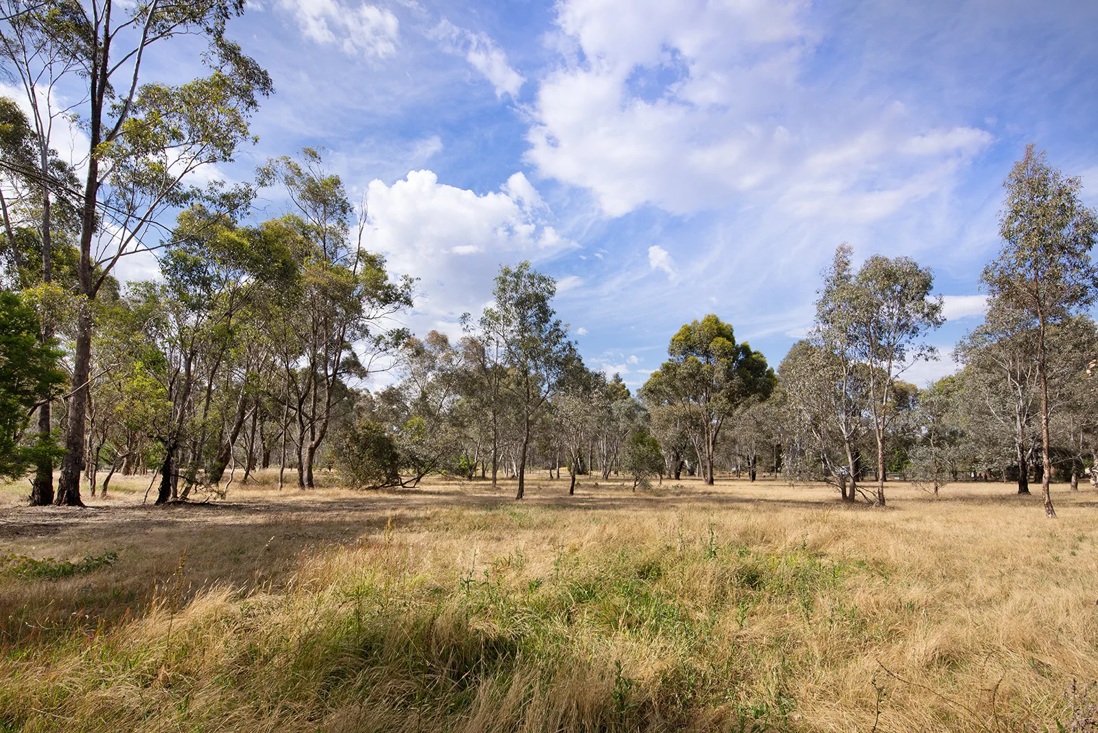 Additional image 21 of 15 Homebush Drive, Junortoun VIC 3551