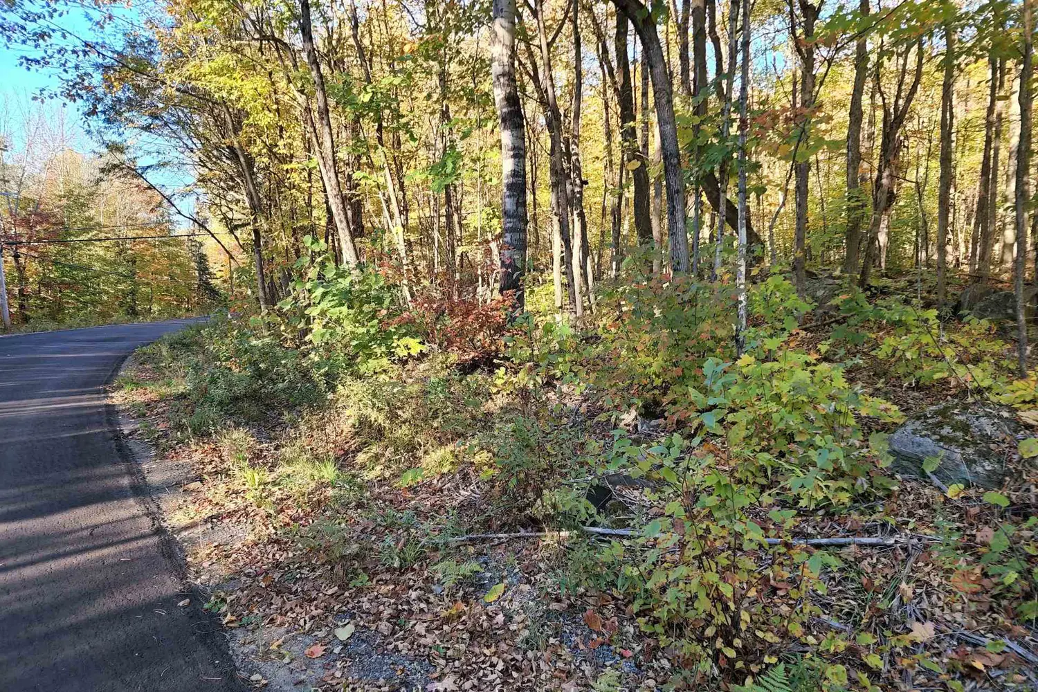 Additional image 10 of A Tally Ho Winter Park Road