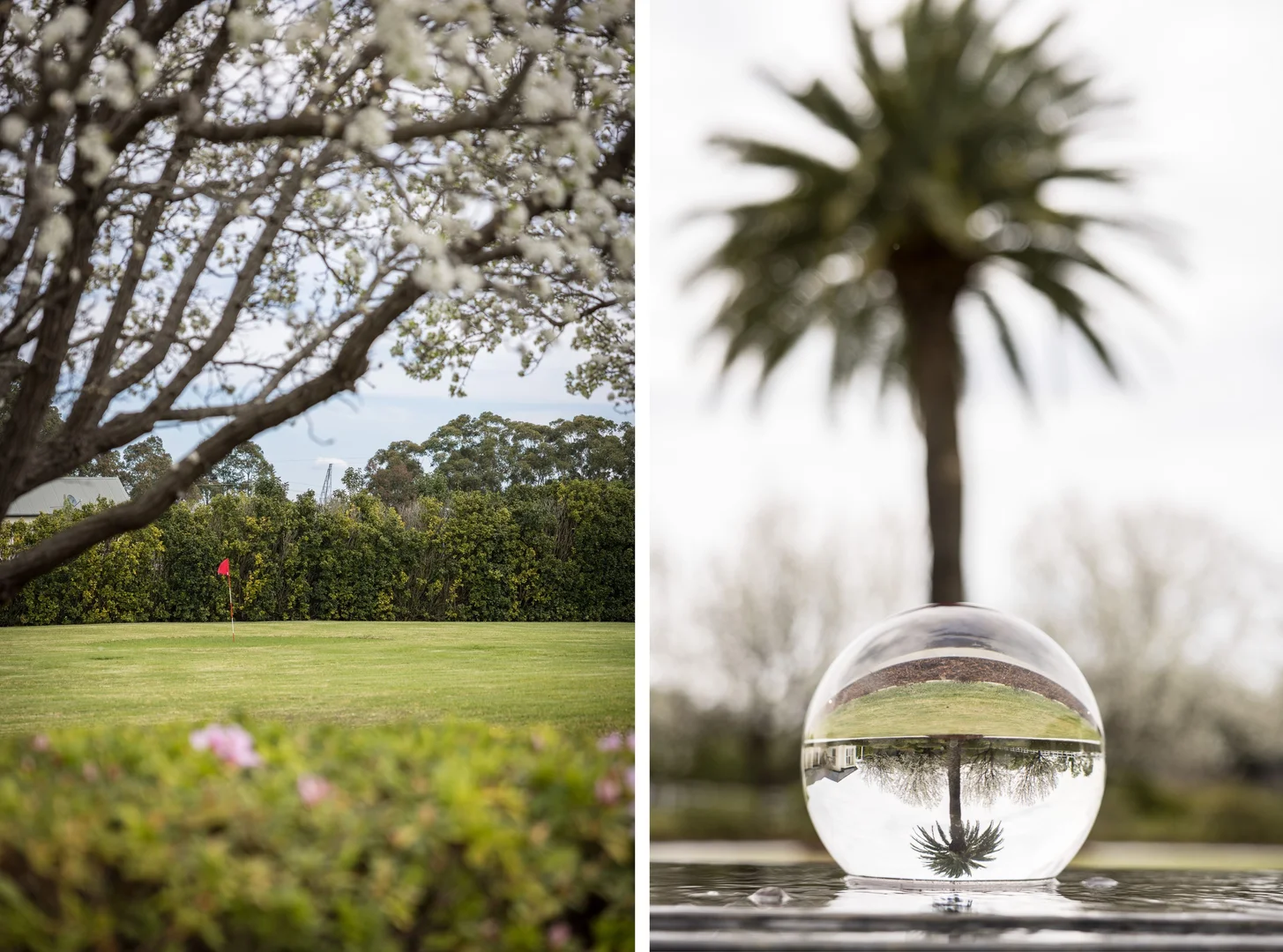 Additional image 8 of 2 Dural Downs Way, Dural NSW 2158