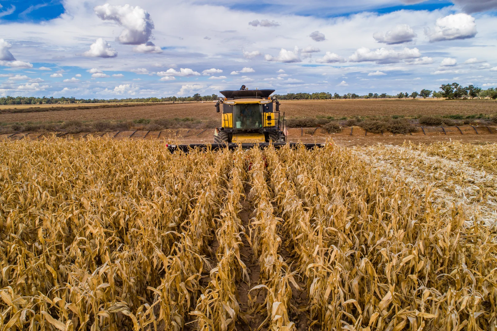 Additional image 16 of 4005 Lachlan Valley Way, Forbes NSW 2871