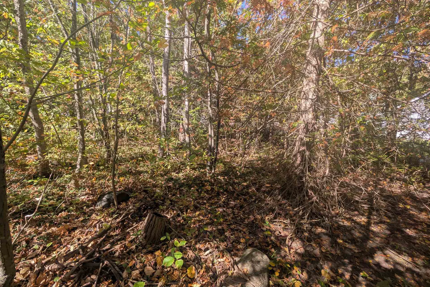 Additional image 9 of Lt 166 Mallory Beach Road