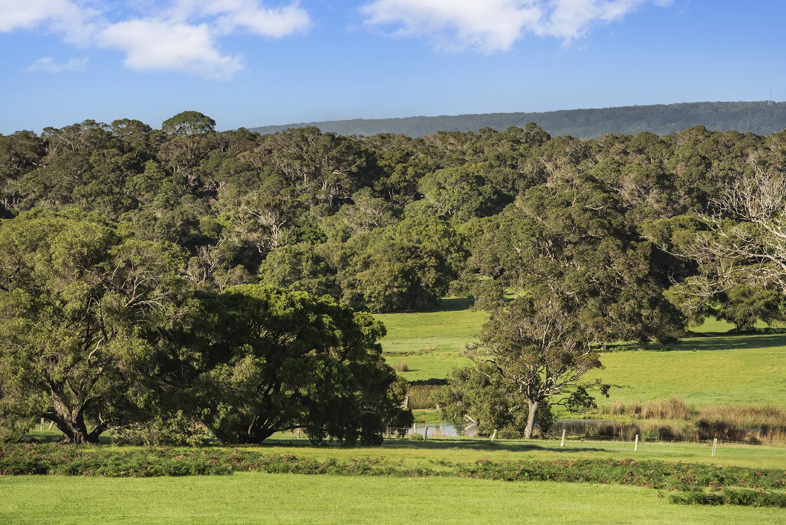 Additional image 13 of Stage 1A Blackwood Grove, Kudardup WA 6290