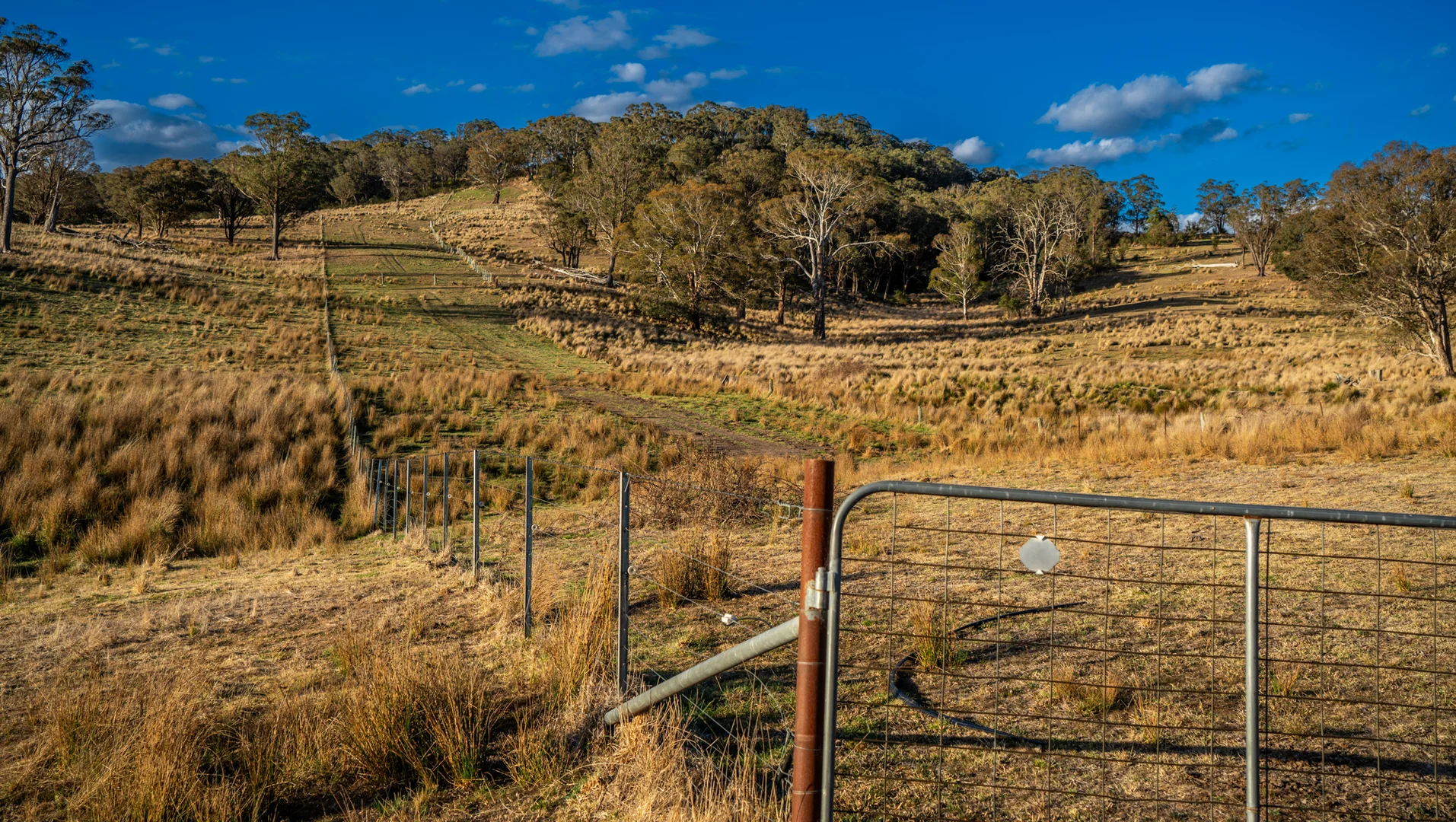 Additional image 21 of 250 Sissons Road Aberfoyle, Armidale NSW 2350