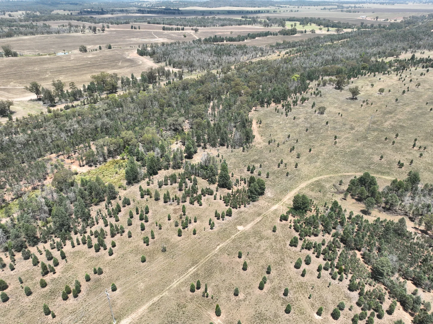 Additional image 9 of 'Illapa' 238L Narromine Road, Dubbo NSW 2830