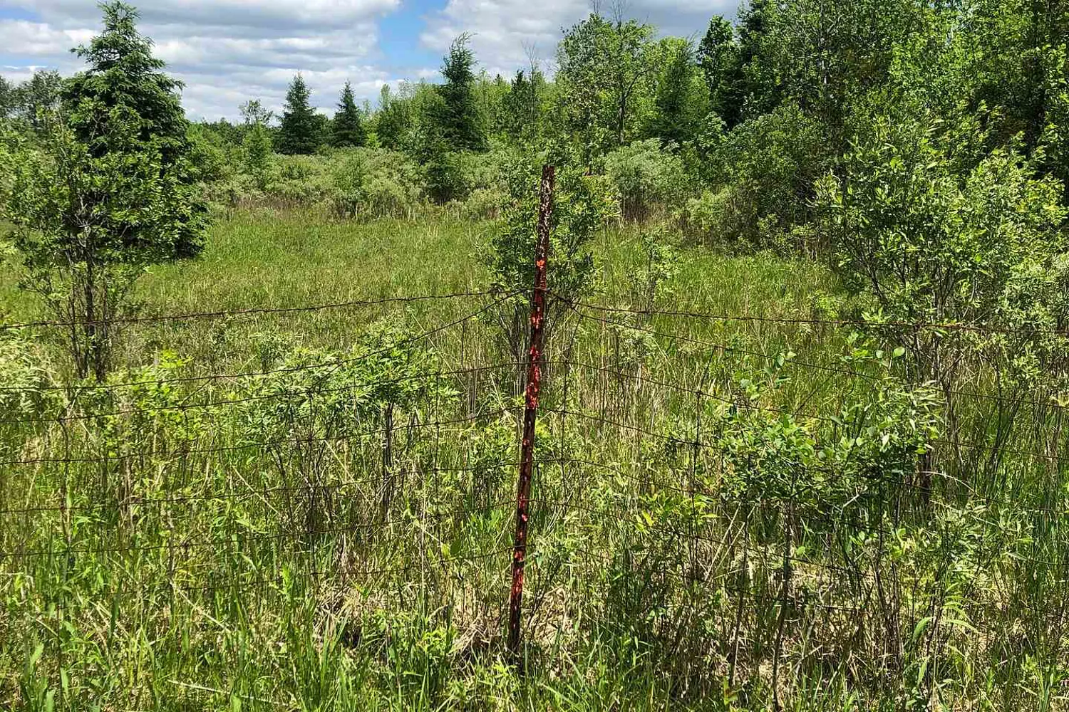 Additional image 3 of 3501 County Rd 15 Road