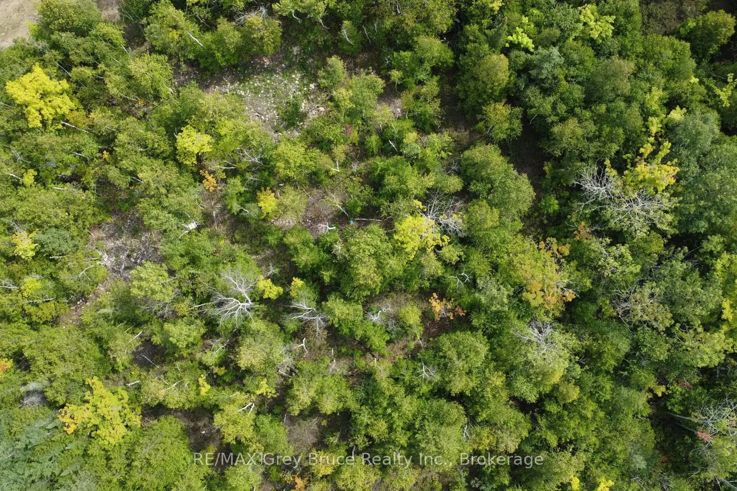 Additional image 14 of 41 Noble Drive