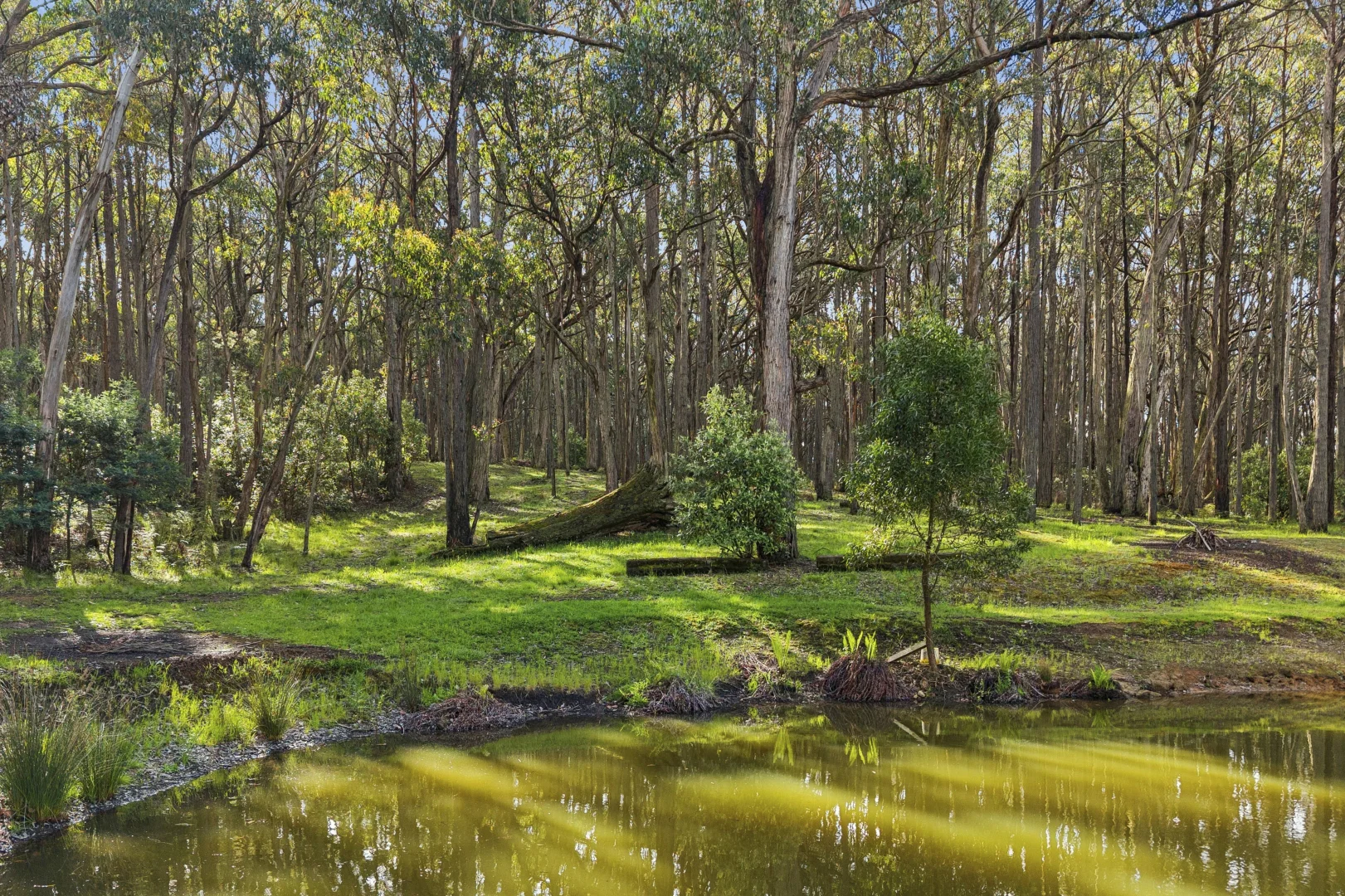 Additional image 16 of 130 Hylands Road, Hesket VIC 3442