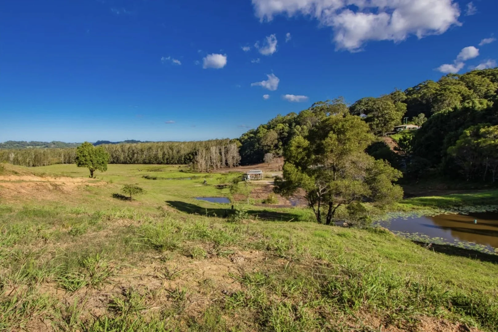 Additional image 19 of Mcauleys Road, Terranora NSW 2486