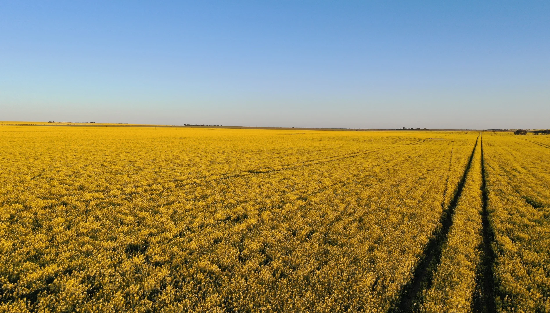 Additional image 4 of Midlands Road, Marchagee WA 6515