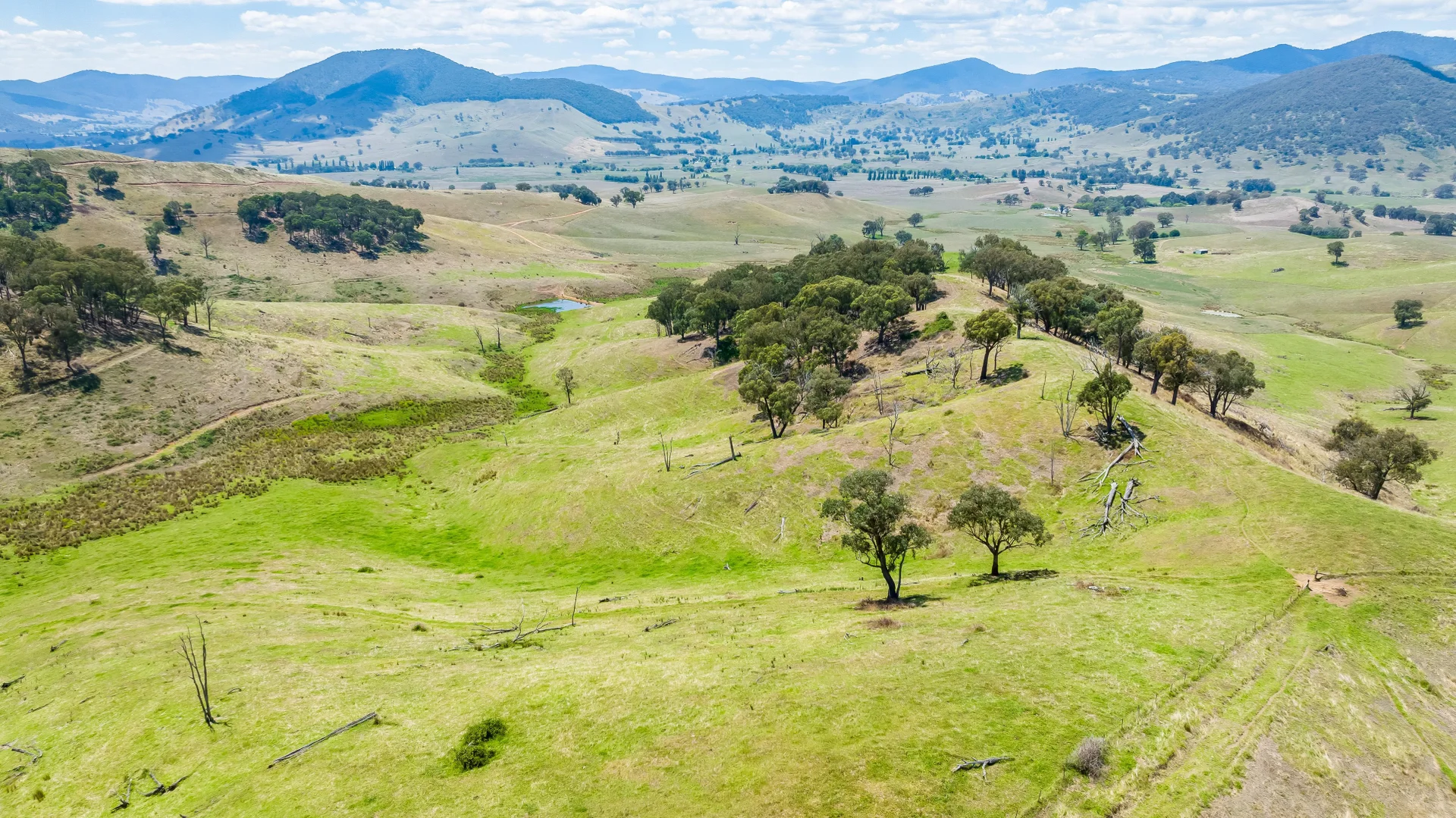 Additional image 18 of "Tom's" Tallys Lane, Tallangatta Valley VIC 3701