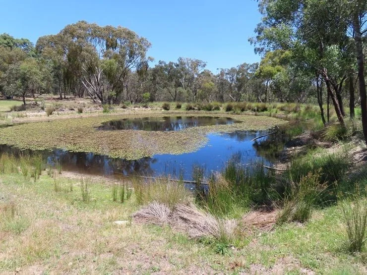 Additional image 3 of Bents Road, Ballandean QLD 4382