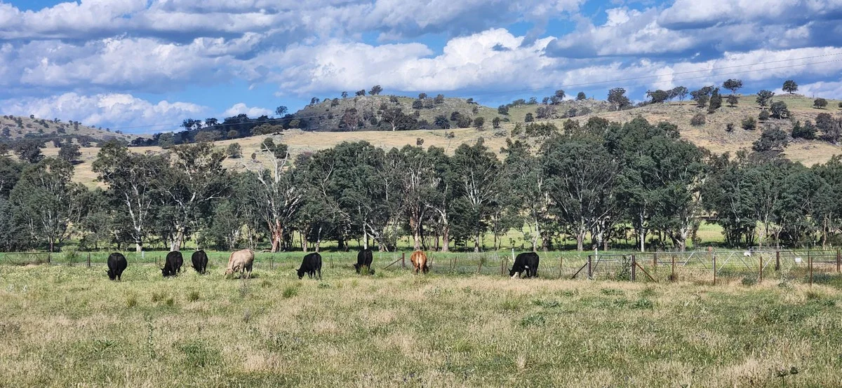 Additional image 8 of 3641 Frogmore Road, Hovells Creek NSW 2794