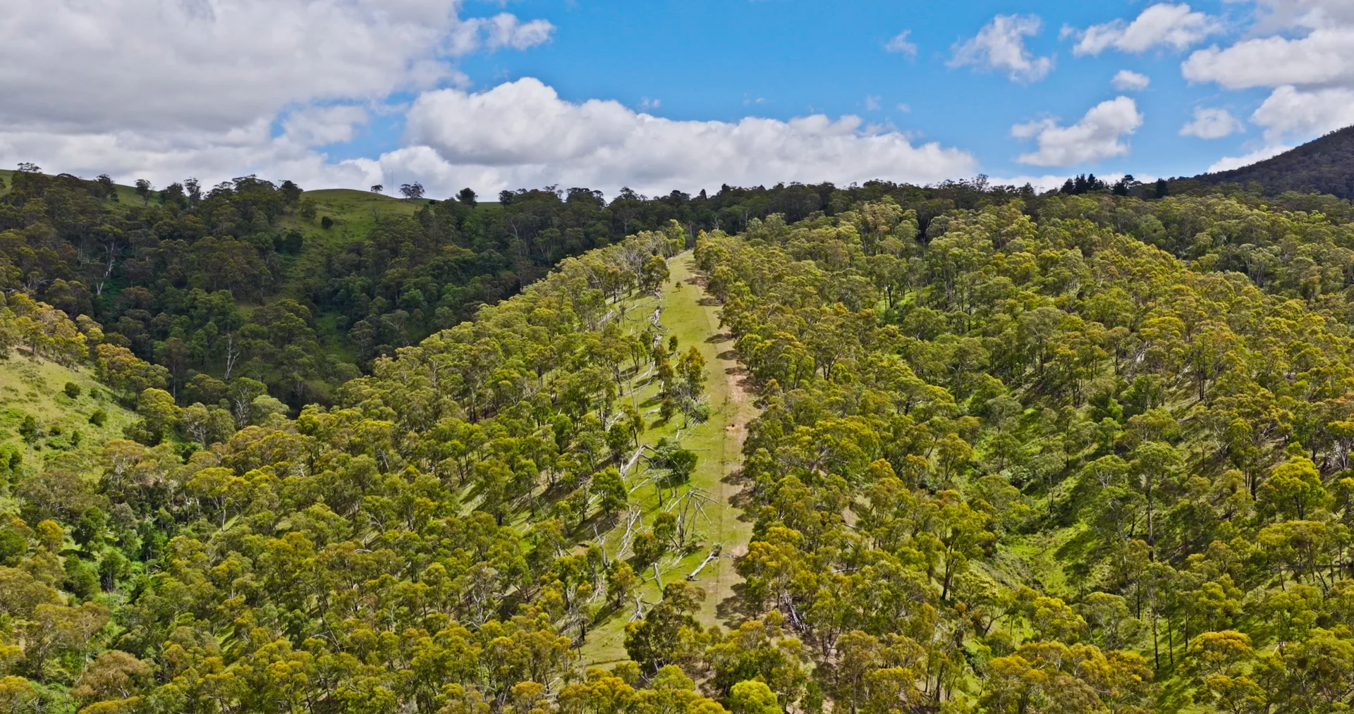 Additional image 19 of Lot 3 - 289 Tongio Gap Road, Tongio VIC 3896
